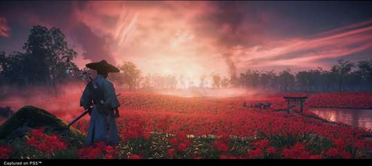 Ghost of Tsushima DIRECTOR’S CUT, v1053.0.0515.2048 + DLC + Bonus Content + Multiplayer cover