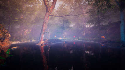 The Fabled Woods cover