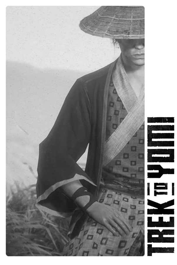 Trek to Yomi cover
